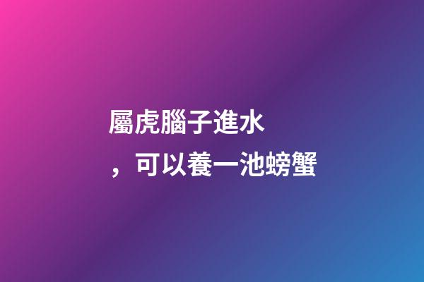 屬虎腦子進水，可以養一池螃蟹